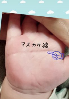 赤ちゃんの手相 アヤカスタイル